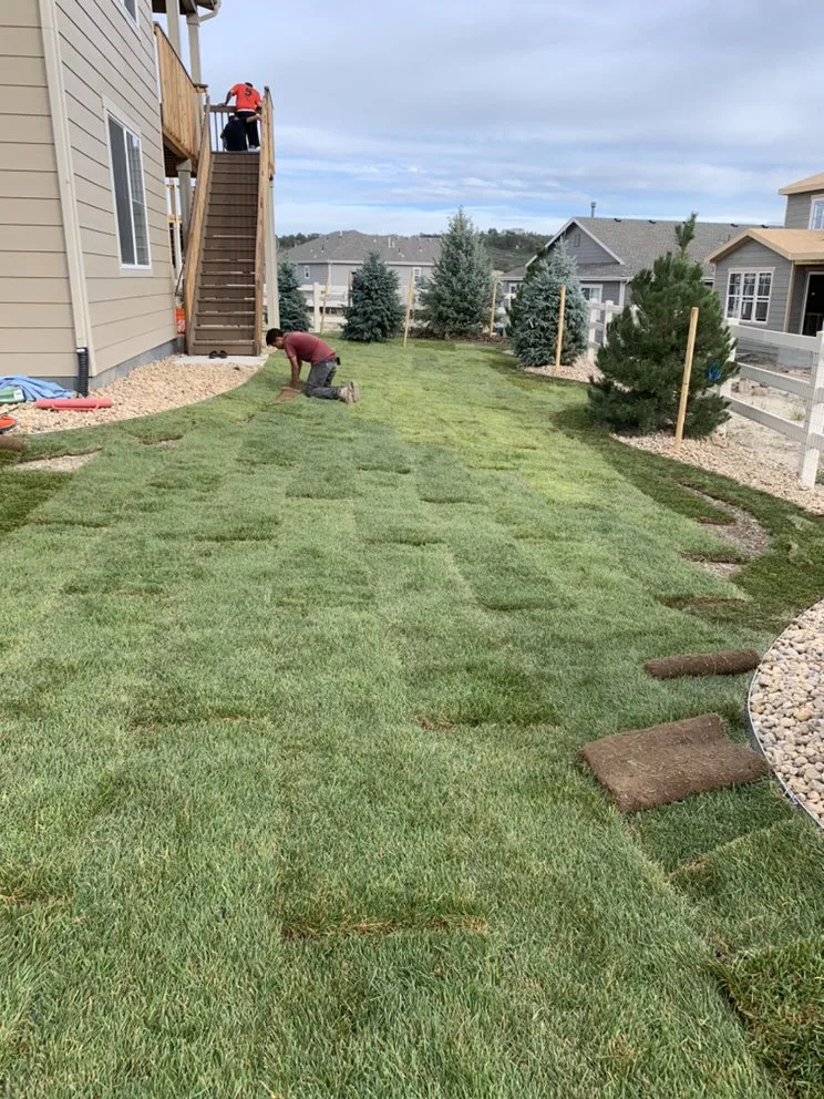 Local lawn care service for residential properties in Castle Rock, CO by RC Landscape Design & Waterfalls