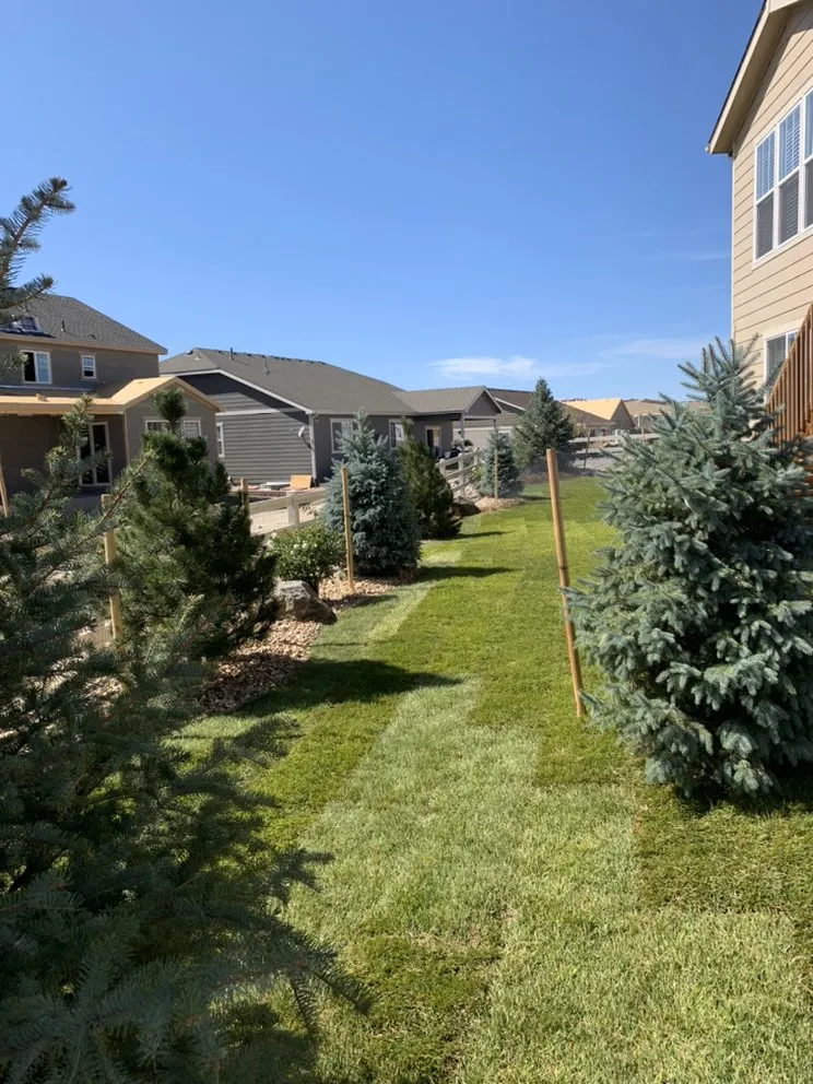 Professional landscaping services for year-round maintenance across Castle Rock, CO - RC Landscape Design & Waterfalls