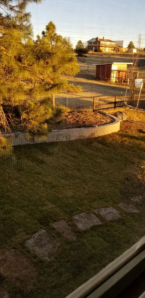 Expert yard cleanup service in Castle Rock, CO - RC Landscape Design & Waterfalls