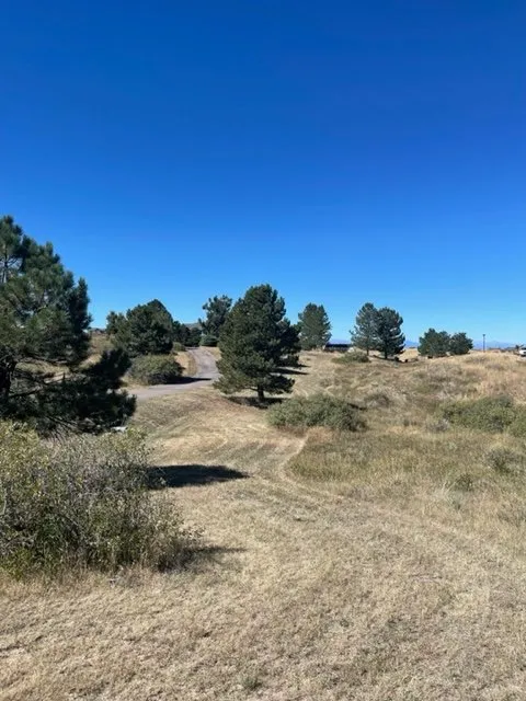 Custom landscaping services in Parker, CO by R&C Landscapes