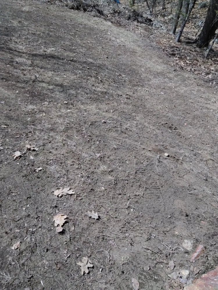 Local yard cleanup service in Mexico, ME by RC Landscaping & Services