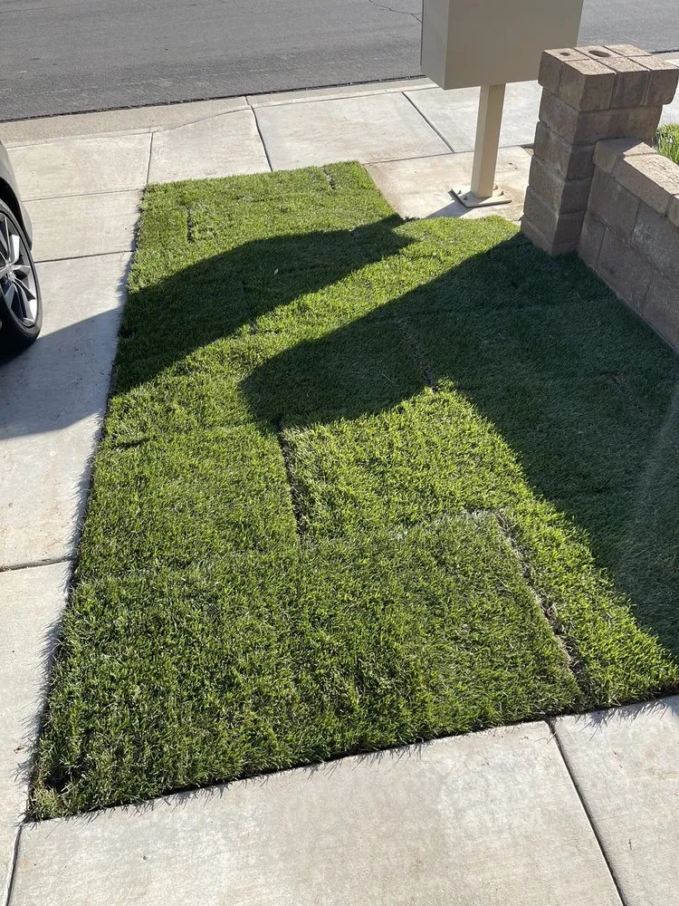 Expert lawn care service for beautiful yards across Escondido, CA - R&C Landscaping