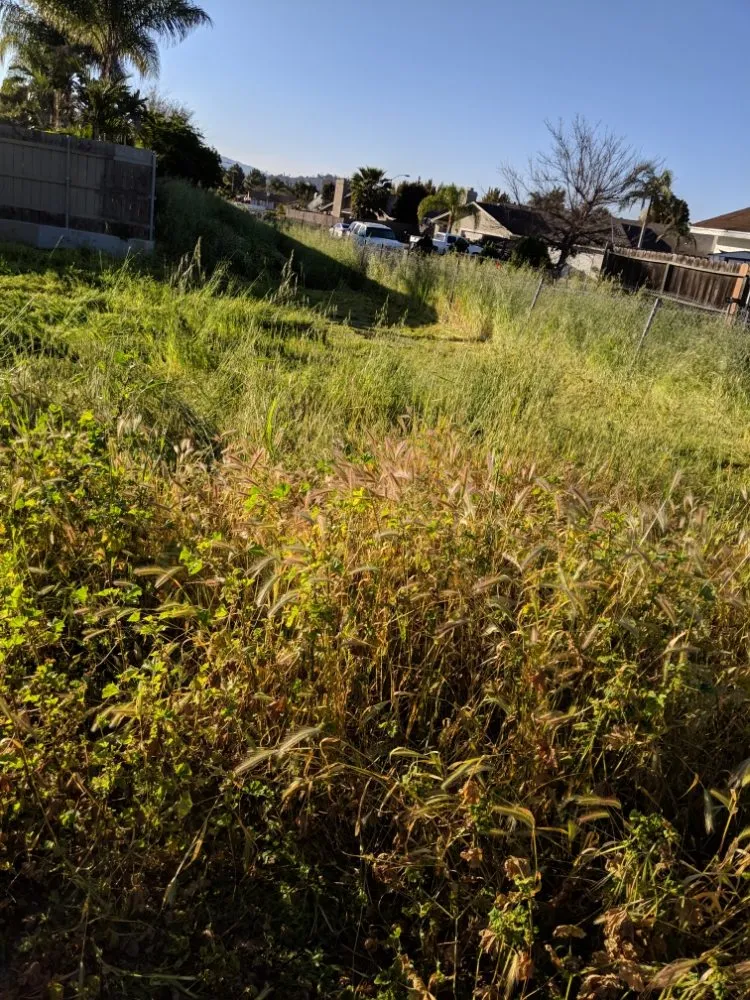 Affordable lawn mowing service experts serving Escondido, CA - R&C Landscaping