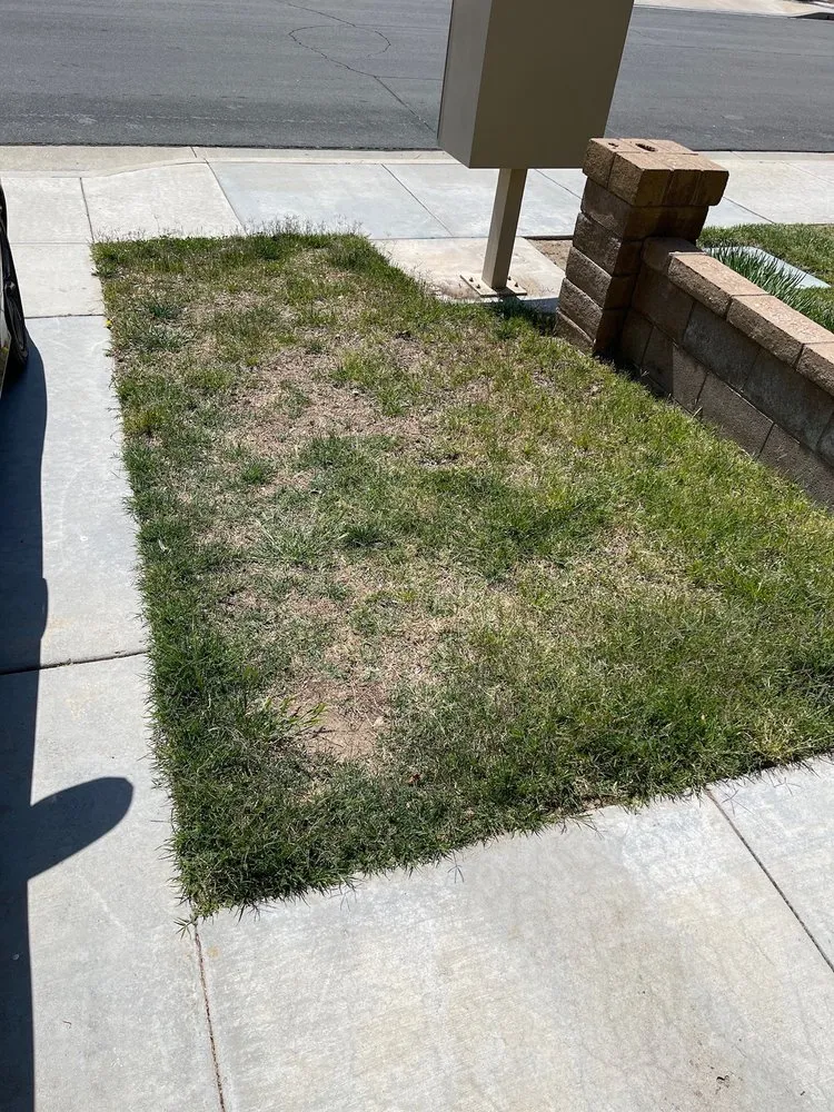 Custom landscaping services in Escondido, CA - R&C Landscaping