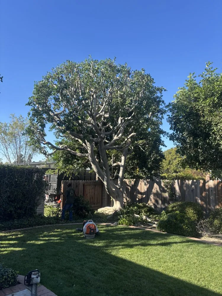 Local garden landscaping in La Puente, CA - RC Landscaping