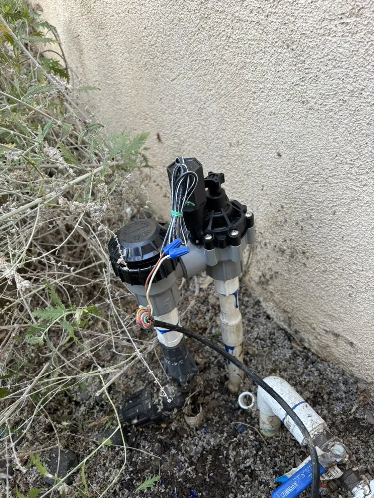 Professional lawn care service with custom design across La Puente, CA - RC Landscaping