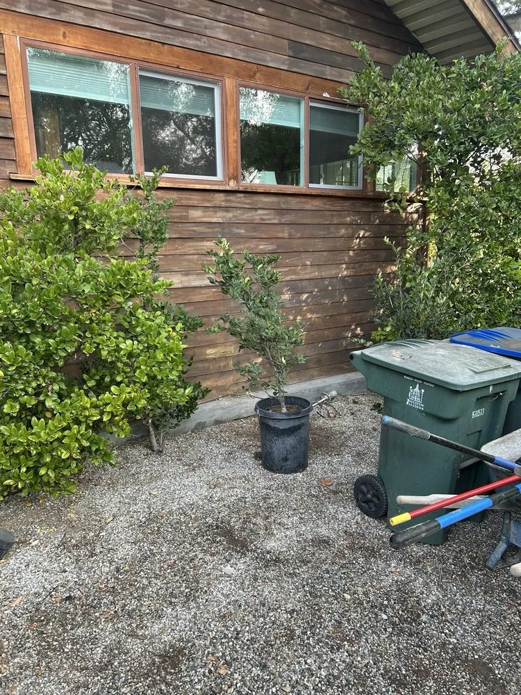 Trusted yard cleanup service experts serving La Puente, CA - RC Landscaping