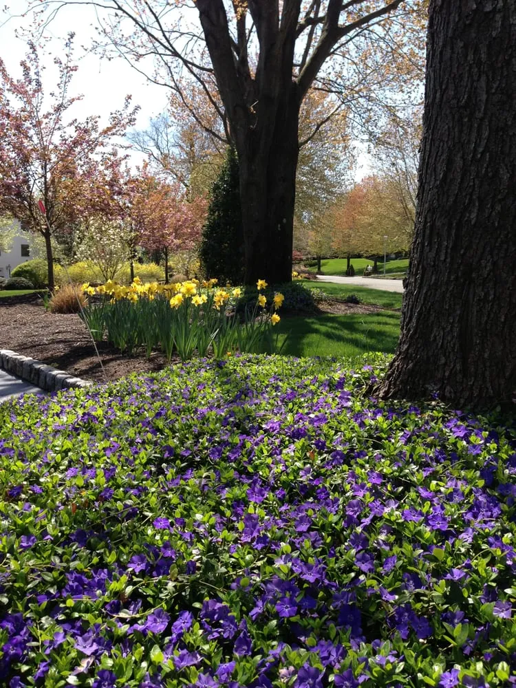 Expert outdoor landscaping for year-round maintenance across Lincroft, NJ - RC Landscaping