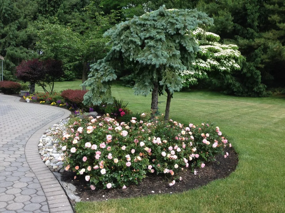 Top-rated landscape installation in Lincroft, NJ by RC Landscaping