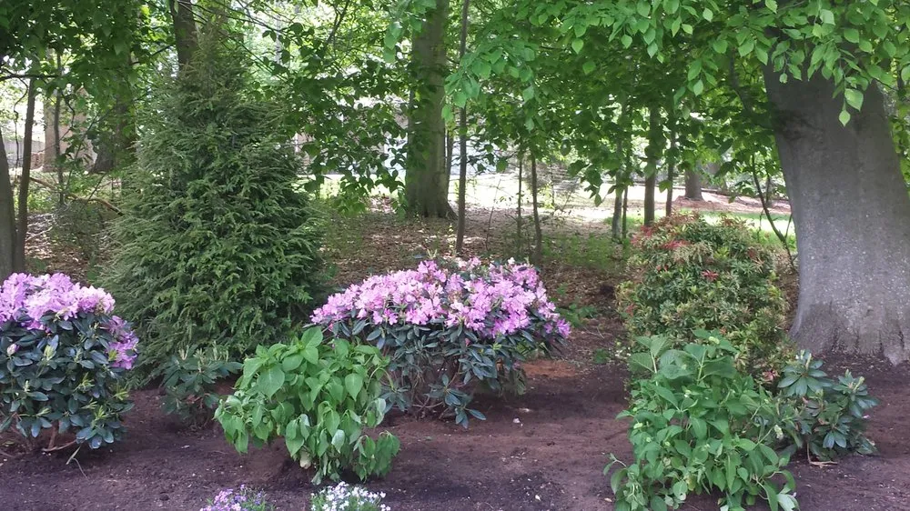 Trusted residential landscaping for beautiful yards across Lincroft, NJ - RC Landscaping