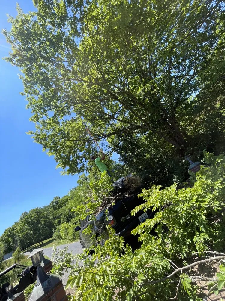 Reliable lawn mowing service in Louisville, KY by RC Landscaping