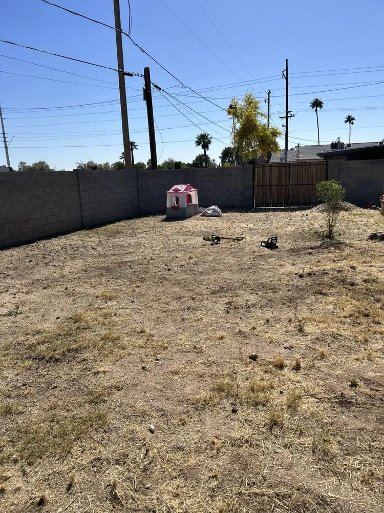 Professional landscape installation for year-round maintenance across Luke Air Force Base, AZ - R&C Landscaping Solutions