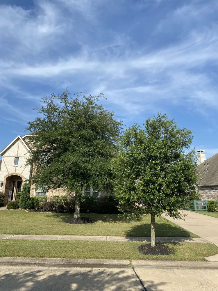 Custom landscaping services for beautiful yards in Fulshear, TX by RC Landscaping &Tree Services