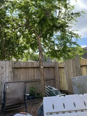 RC Landscaping &Tree Services