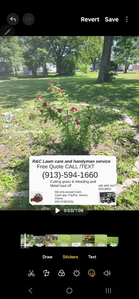 Top-rated yard cleanup service in LaCygne, KS by R&C Lawn Care And Handyman Service's