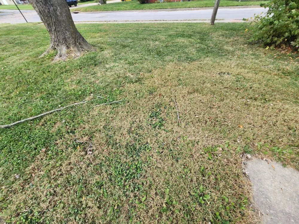 Reliable outdoor landscaping experts serving LaCygne, KS - R&C Lawn Care And Handyman Service's