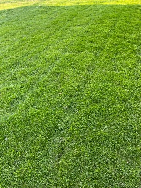 Trusted residential landscaping for residential properties in Crestline, OH by RC Lawn Care