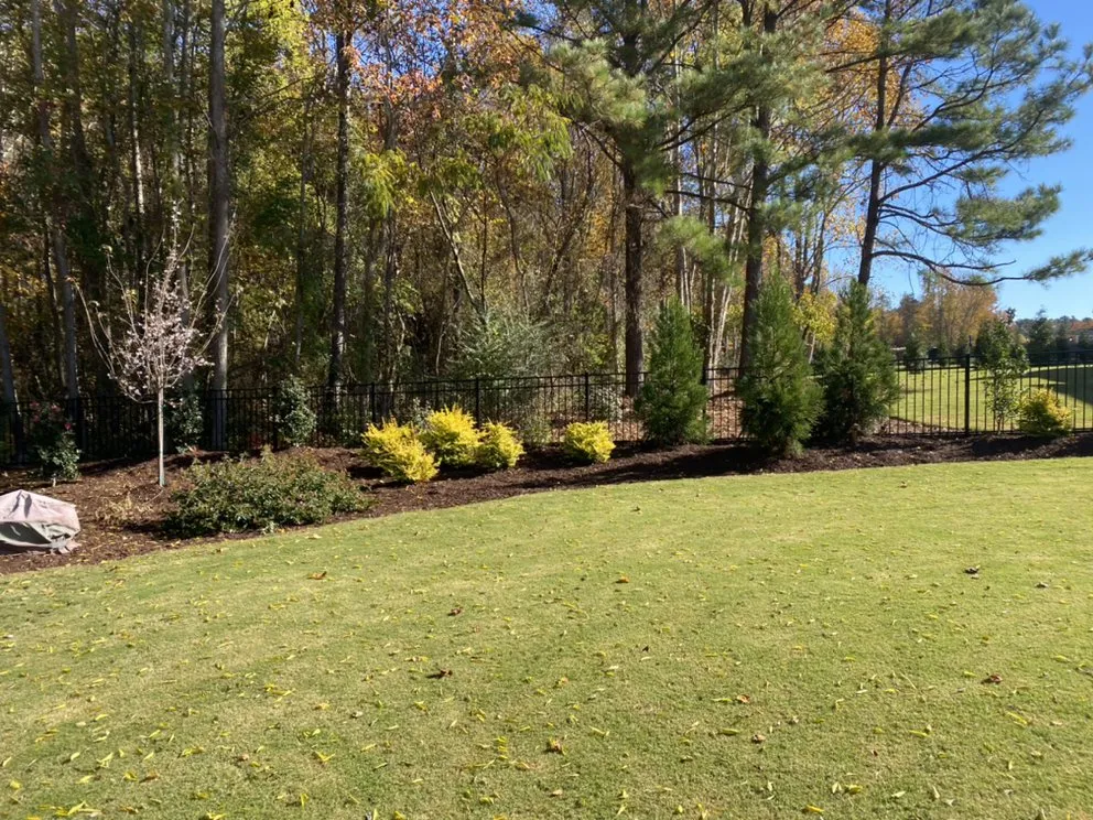 Trusted yard cleanup service for year-round maintenance across Franklinton, NC - RC Lawn Care