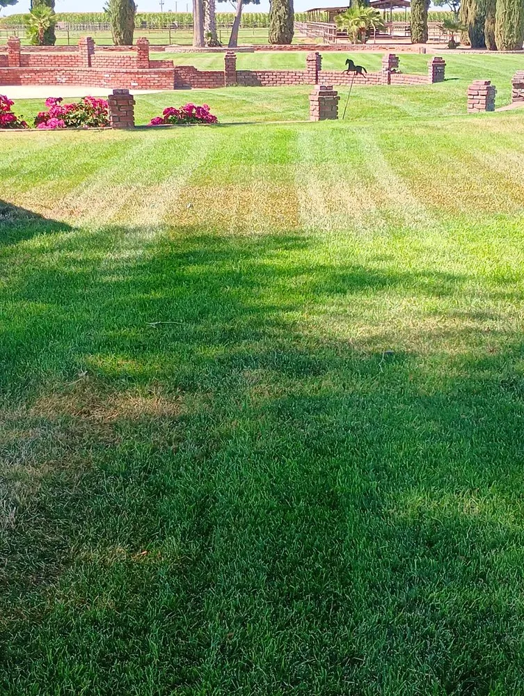 Trusted residential landscaping for year-round maintenance across Hanford, CA - RC Lawn Maintenance And Landscaping