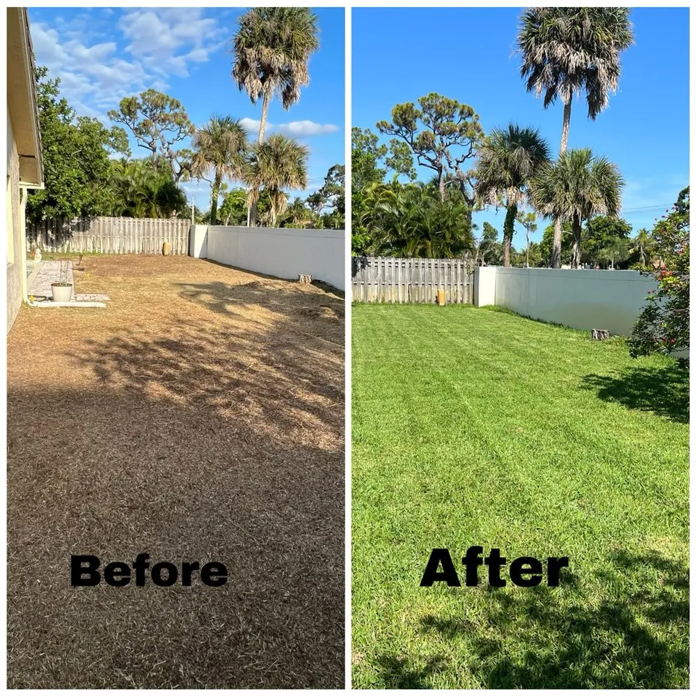 Affordable outdoor landscaping in Delray Beach, FL - RC Lawn Maintenance