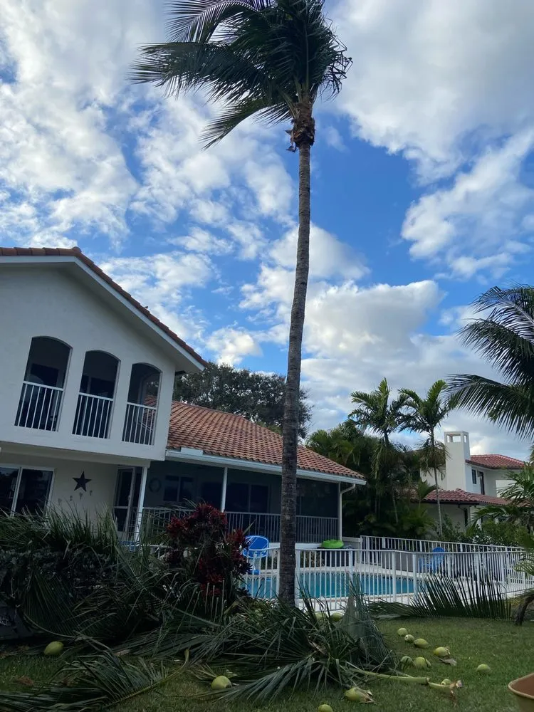 Trusted outdoor landscaping in Delray Beach, FL by RC Lawn Maintenance