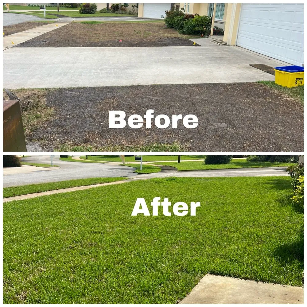 Reliable residential landscaping in Delray Beach, FL by RC Lawn Maintenance