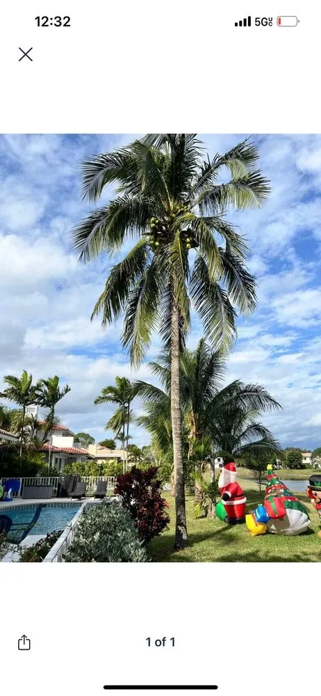 Expert landscape design for residential properties across Delray Beach, FL - RC Lawn Maintenance