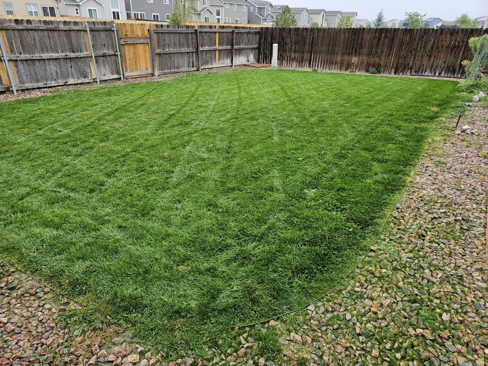 Local landscape design for outdoor upgrades across Colorado Springs, CO - Rc Lawn Services