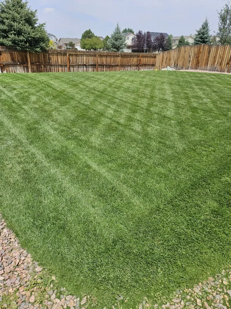 Expert lawn mowing service for outdoor upgrades in Colorado Springs, CO by Rc Lawn Services