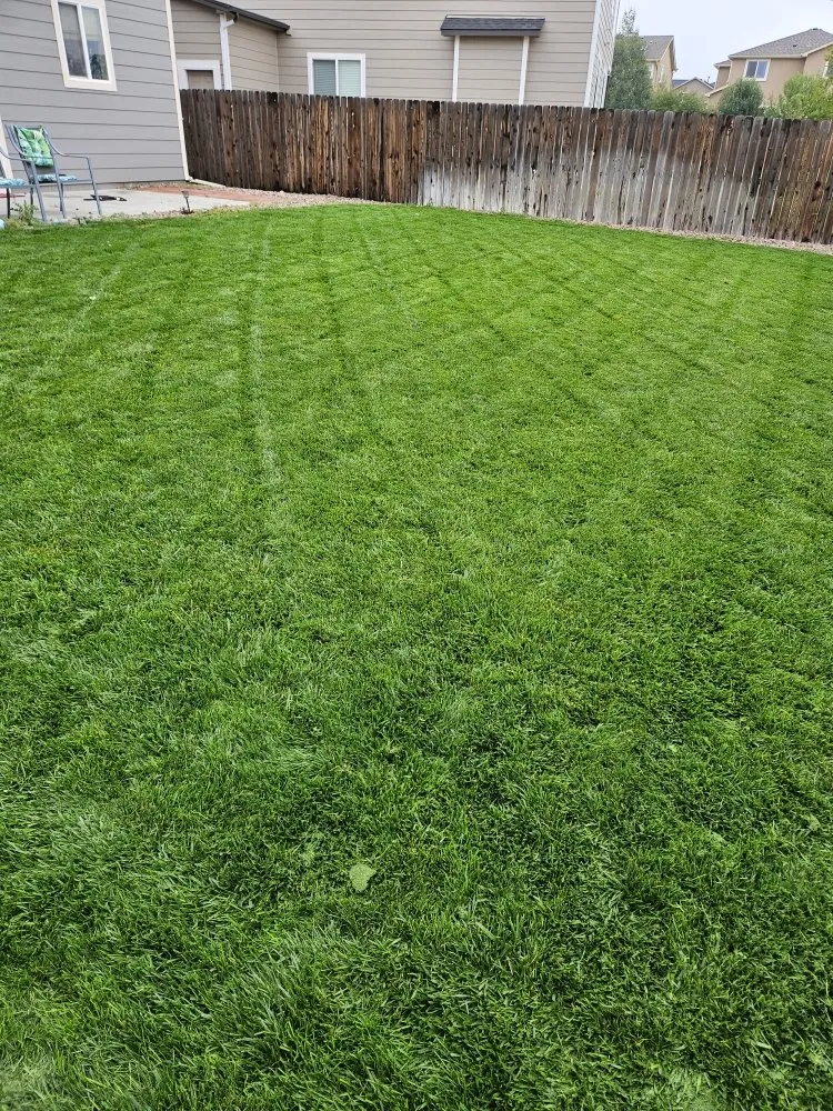 Reliable garden landscaping for homes across Colorado Springs, CO - Rc Lawn Services