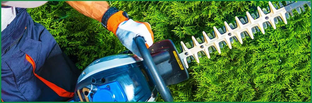 Reliable landscaping services for outdoor upgrades across Fridley, MN - RC Lawncare & Landscape