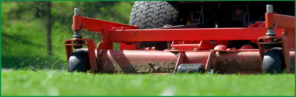 Reliable yard cleanup service experts serving Fridley, MN - RC Lawncare & Landscape