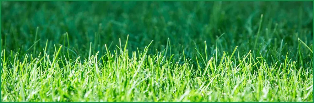 Affordable lawn care service with custom design across Fridley, MN - RC Lawncare & Landscape