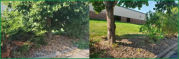 RC Lawncare & Landscape