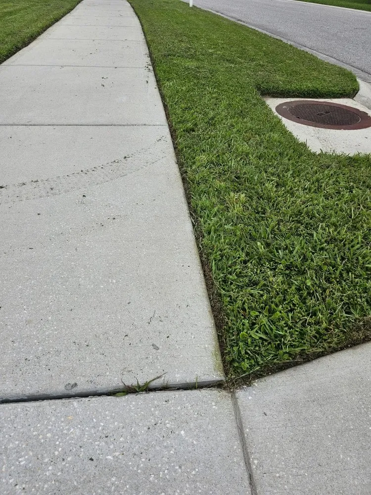 Trusted yard cleanup service in Hernando, FL by RC Lawncare