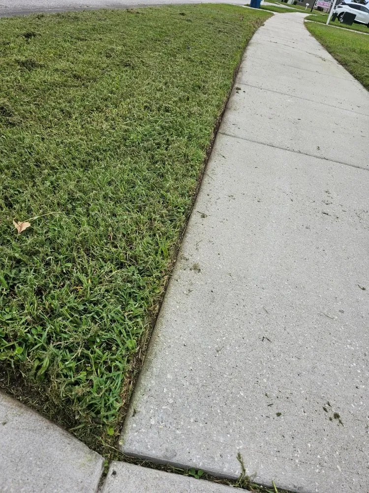 Expert yard maintenance for year-round maintenance in Hernando, FL by RC Lawncare