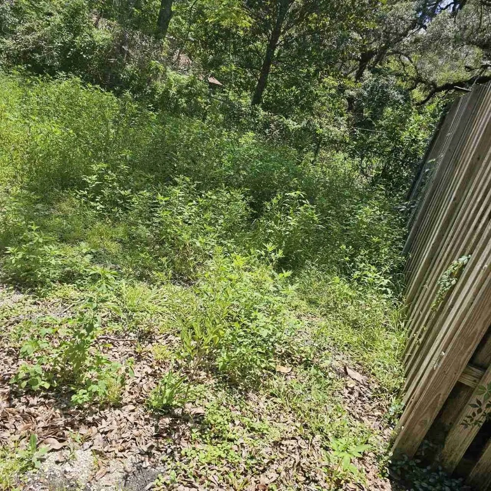 Professional residential landscaping in Hernando, FL by RC Lawncare