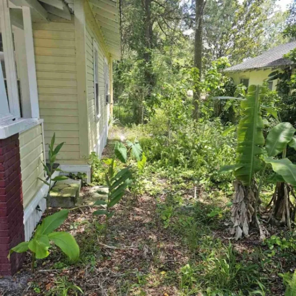 Expert landscaping services in Hernando, FL - RC Lawncare