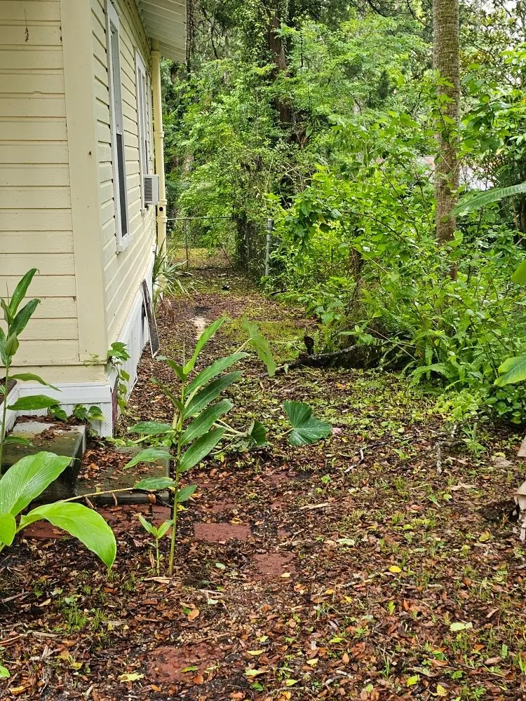 Custom garden landscaping for outdoor upgrades in Hernando, FL by RC Lawncare