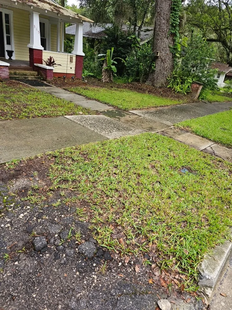 Trusted lawn care service in Hernando, FL - RC Lawncare