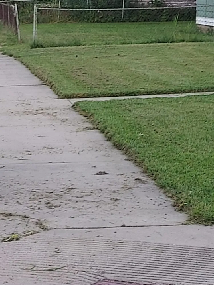 Professional outdoor landscaping in Terre Haute, IN - RC Lawncare