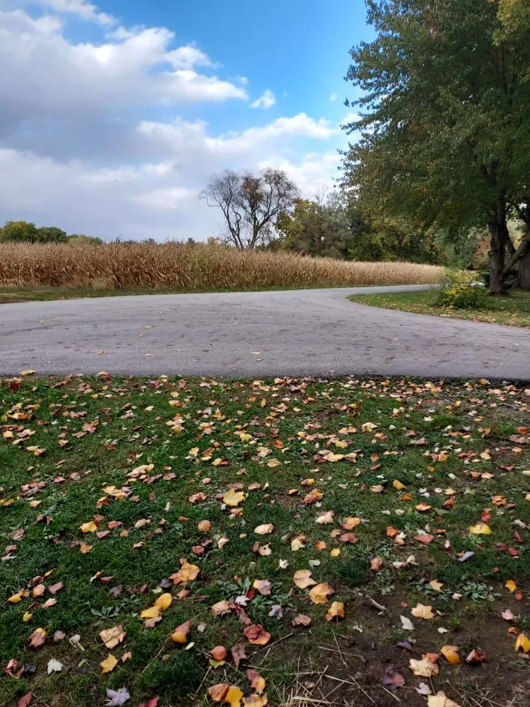 Expert outdoor landscaping experts serving Terre Haute, IN - RC Lawncare