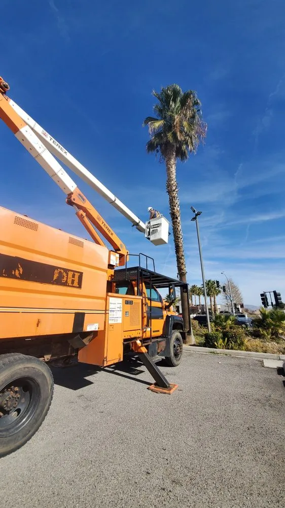 Reliable lawn mowing service experts serving Hesperia, CA - RC Maintenance & Repair Landscaping