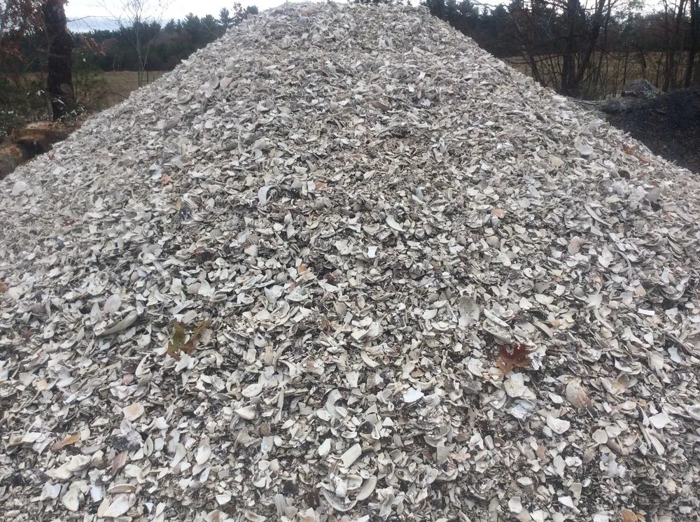 Reliable yard cleanup service for beautiful yards across Carver, MA - RC Melville Construction