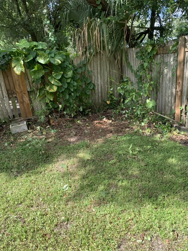 Professional lawn care service for beautiful yards across Orlando, FL - RC Pressure