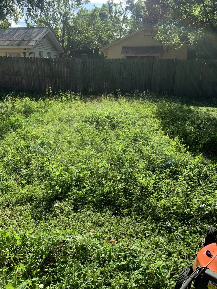 Expert landscape design for residential properties in Orlando, FL by RC Pressure