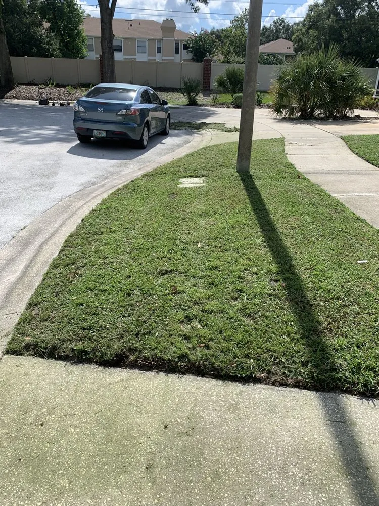 Professional yard cleanup service in Orlando, FL - RC Pressure