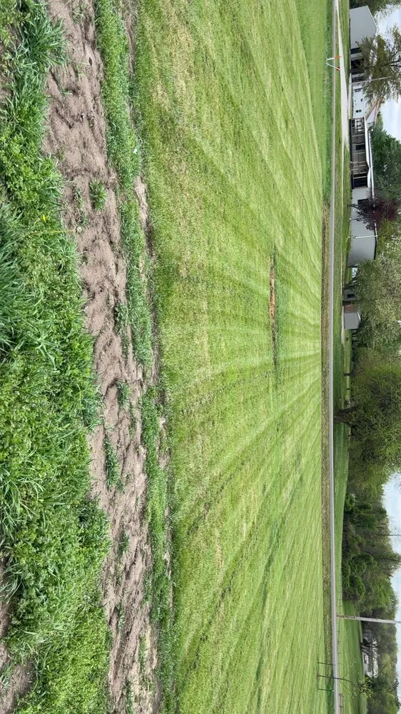 Reliable yard cleanup service for outdoor upgrades in Warrensburg, MO by RC Properties