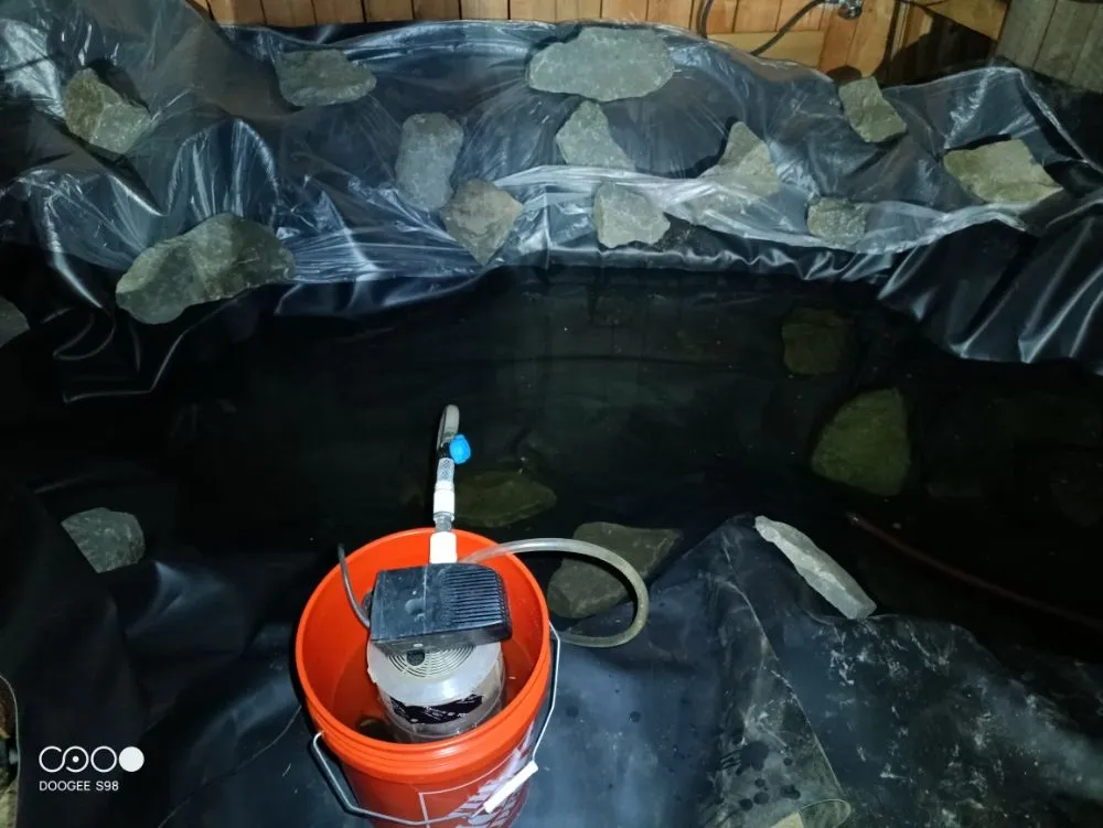 Local landscape design in Gresham, OR by RC Services