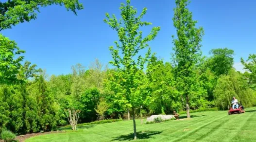 Reliable landscaping services in Jarrettsville, MD by R&C Services